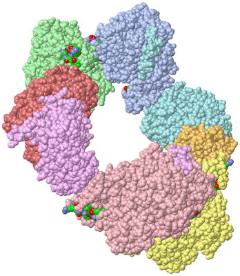 Image Asym./Biol. Unit - sites