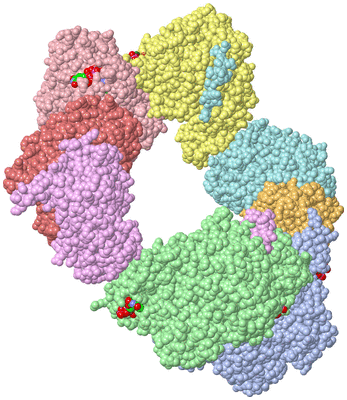 Image Asym./Biol. Unit