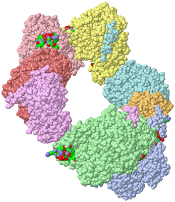 Image Asym./Biol. Unit - sites