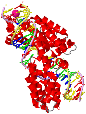 Image Asym./Biol. Unit