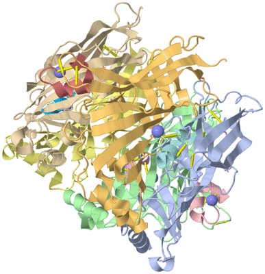 Image Asym./Biol. Unit