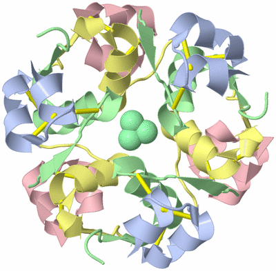 Image Biological Unit 1