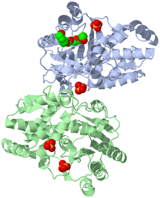 Image Asym./Biol. Unit