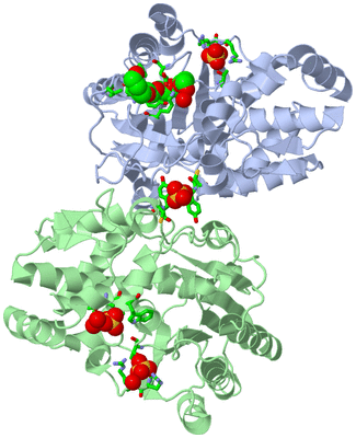 Image Asym./Biol. Unit - sites