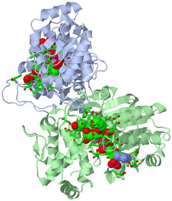 Image Biol. Unit 1 - sites