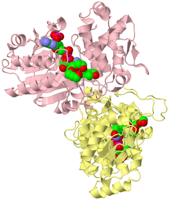 Image Biological Unit 2