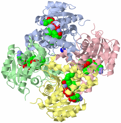 Image Asym./Biol. Unit