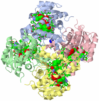 Image Asym./Biol. Unit - sites