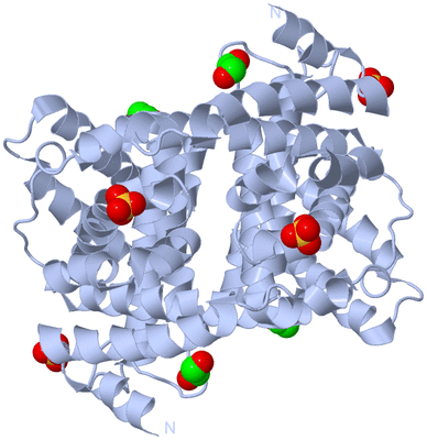 Image Biological Unit 1