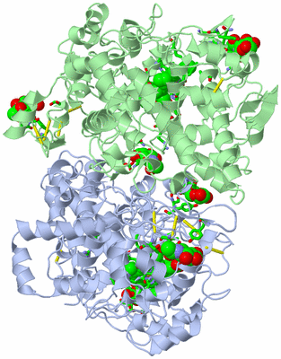 Image Biol. Unit 1 - sites