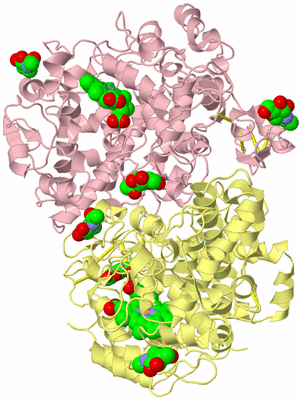 Image Biological Unit 2