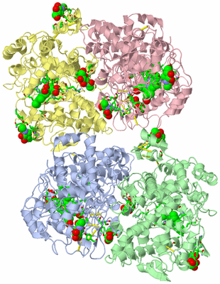 Image Asym. Unit - sites