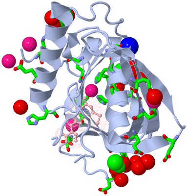 Image Asym./Biol. Unit - sites