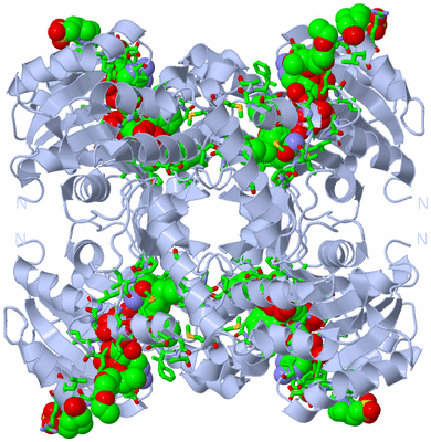 Image Biol. Unit 1 - sites