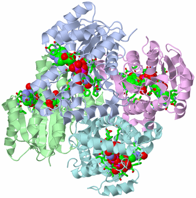 Image Biol. Unit 1 - sites