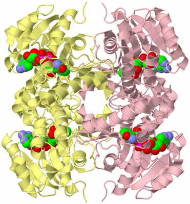 Image Biological Unit 2