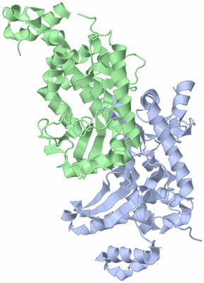Image Asymmetric Unit