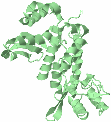 Image Biological Unit 2