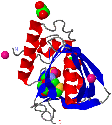 Image Asym./Biol. Unit