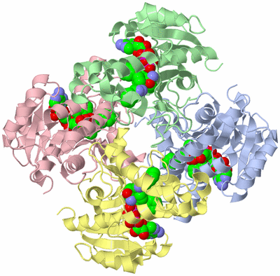 Image Asym./Biol. Unit