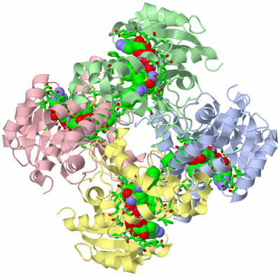 Image Asym./Biol. Unit - sites