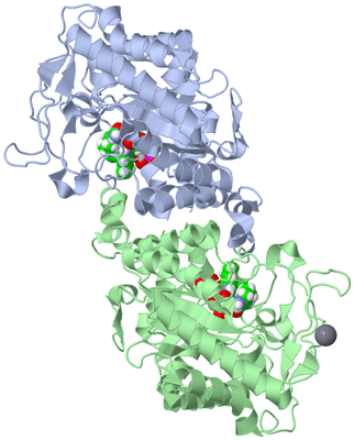 Image Asym./Biol. Unit