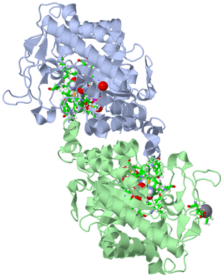 Image Asym./Biol. Unit - sites