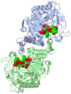 Image Asym./Biol. Unit