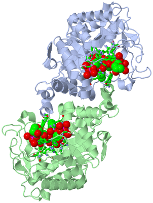 Image Asym./Biol. Unit - sites