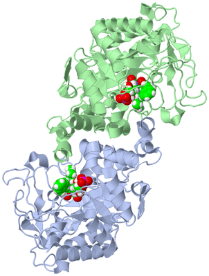 Image Asym./Biol. Unit