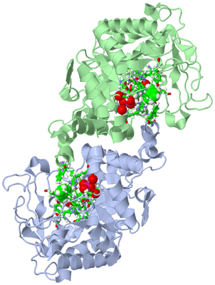 Image Asym./Biol. Unit - sites