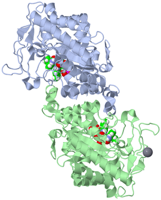 Image Asym./Biol. Unit