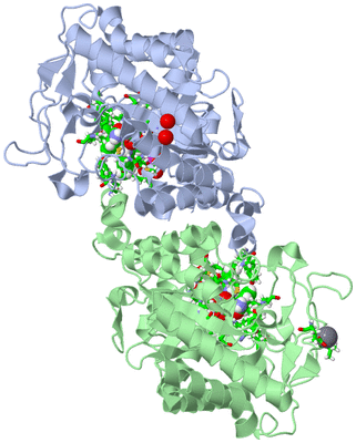 Image Asym./Biol. Unit - sites