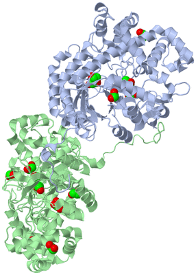 Image Asym./Biol. Unit