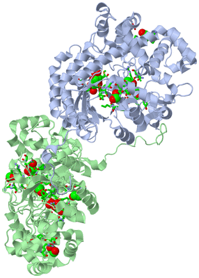 Image Asym./Biol. Unit - sites