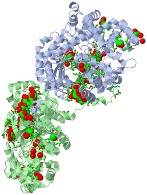 Image Asym./Biol. Unit - sites