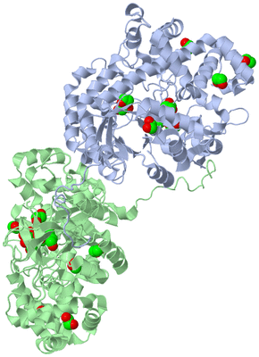 Image Asym./Biol. Unit