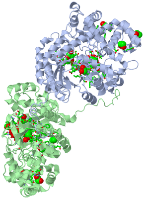 Image Asym./Biol. Unit - sites