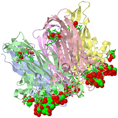 Image Asym./Biol. Unit - sites