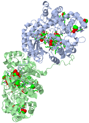 Image Asym./Biol. Unit - sites