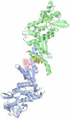 Image Asymmetric Unit
