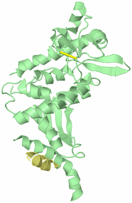 Image Biological Unit 2