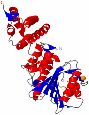 Image Asym./Biol. Unit