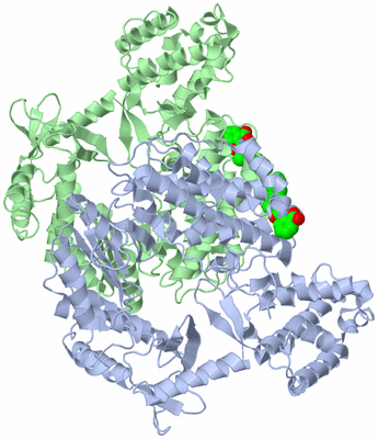 Image Biological Unit 3