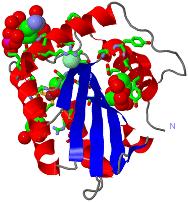 Image Asym./Biol. Unit - sites