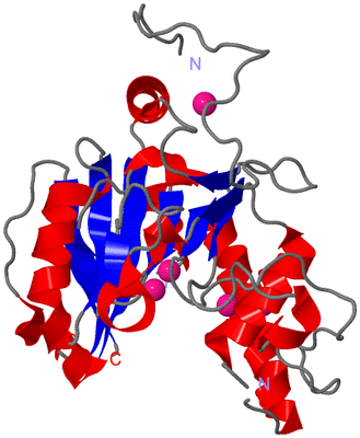 Image Asym./Biol. Unit