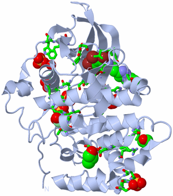 Image Biol. Unit 1 - sites