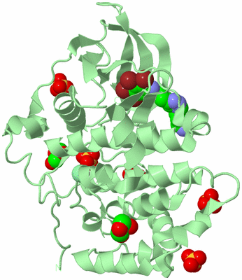 Image Biological Unit 2