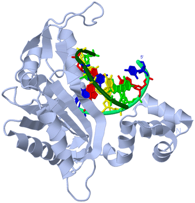 Image Biological Unit 1