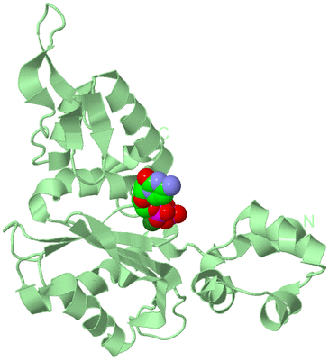 Image Biological Unit 2